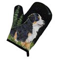 Carolines Treasures Starry Night Bernese Mountain Dog Oven Mitt SS8468OVMT